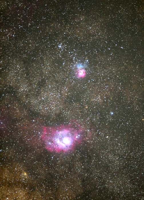 LagoonTrifid