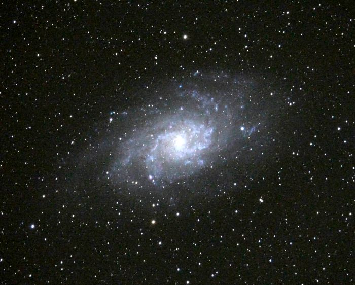 M33