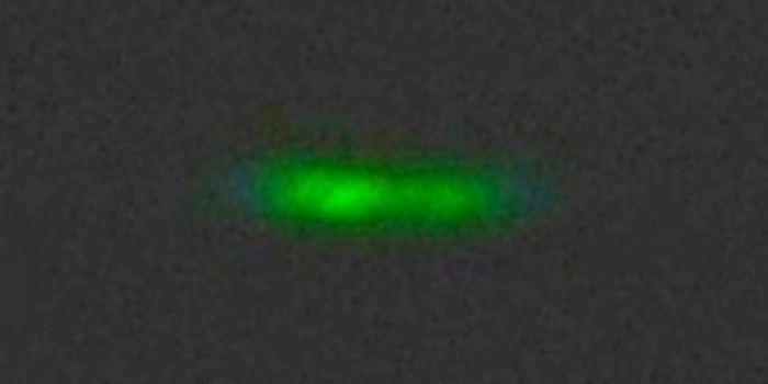 GreenFlash