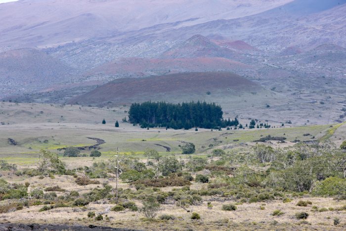 Road to Mauna Kea