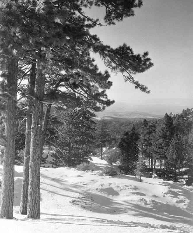 ToPalmdale