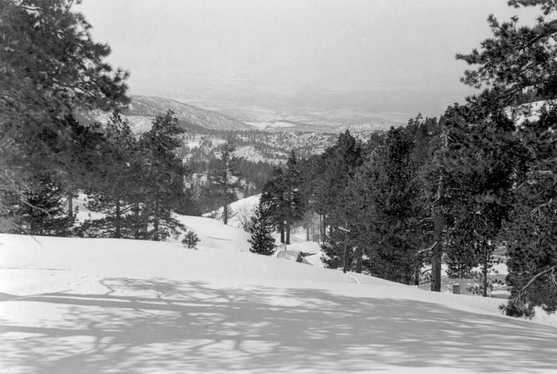 Palmdale