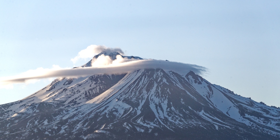 Shasta