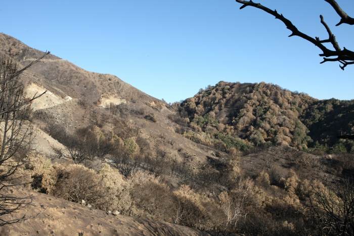 CrestFire