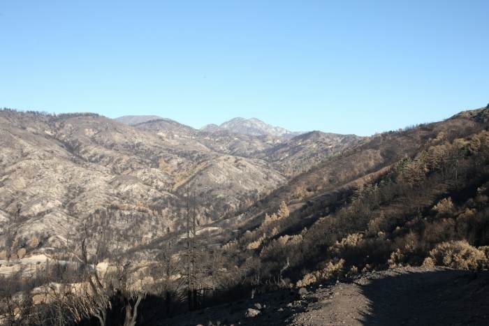 CrestFire
