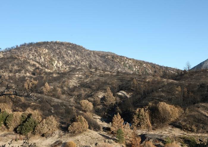 CrestFire