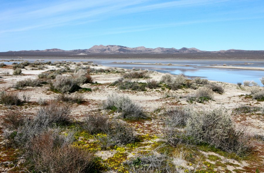 ElMirage