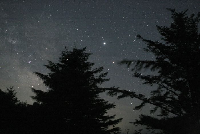 Satellites