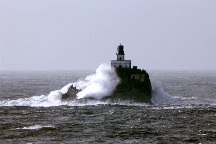 Waves