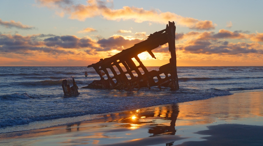 PeterIredale