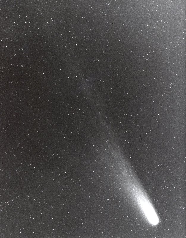 HalleysComet