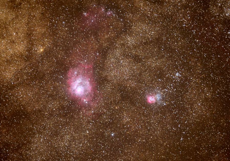 Lagoon-Trifid