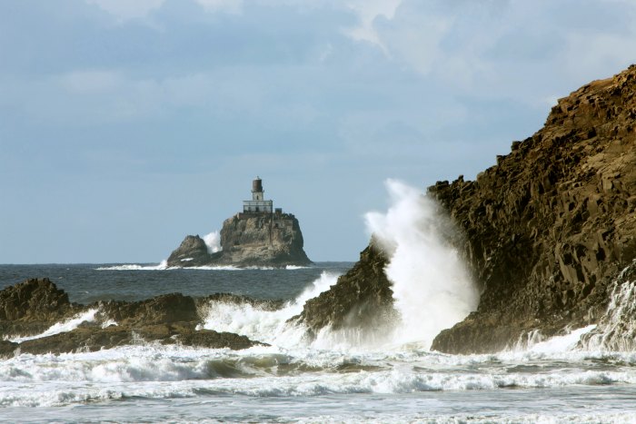 Waves