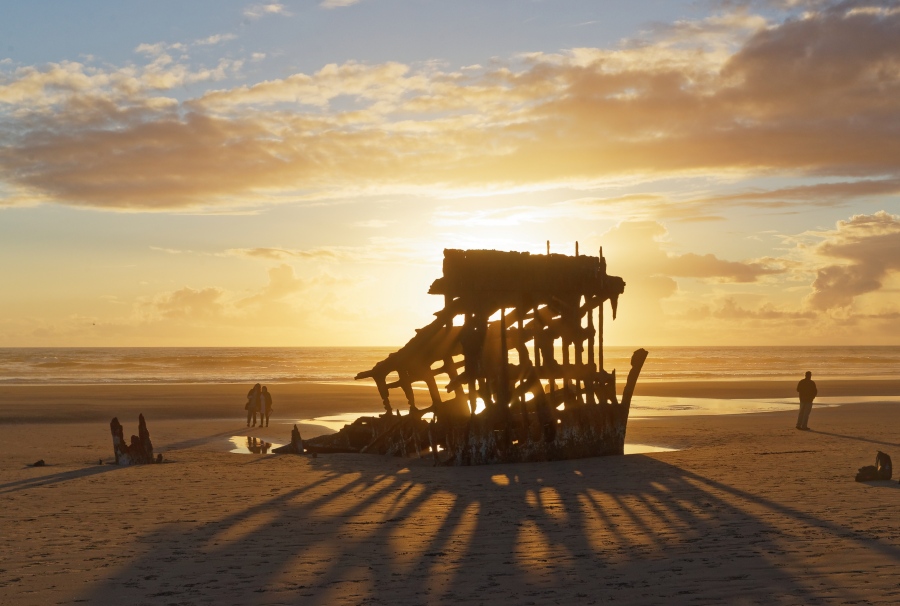 PeterIredale