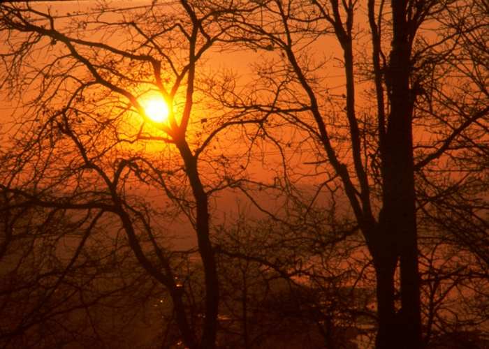 Sunrise