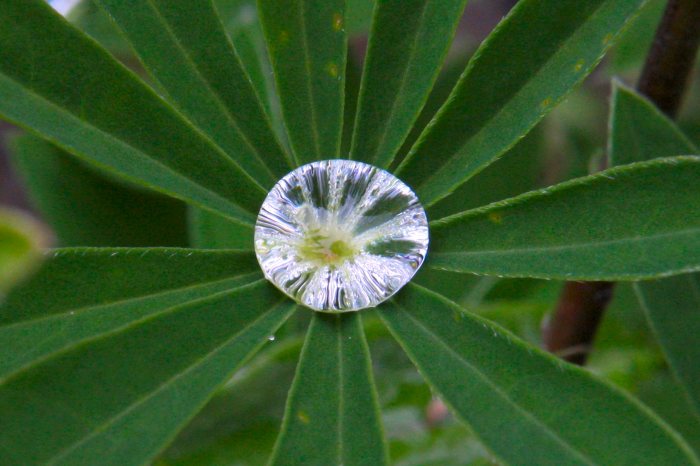 WaterDrop