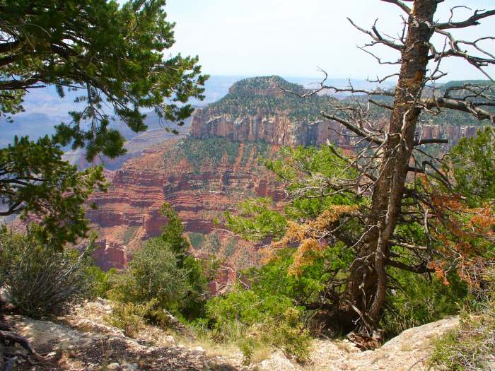 GrandCanyonNorth Rim