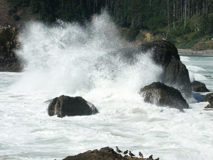 Waves