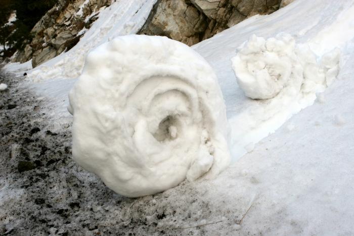 SnowRoller