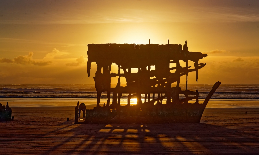 PeterIredale