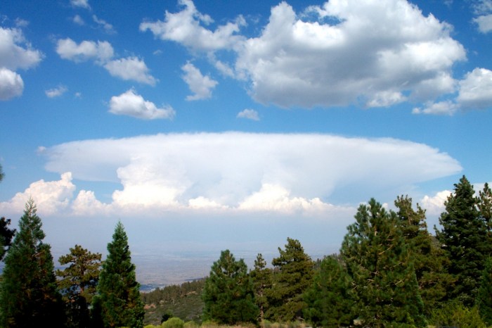 Clouds