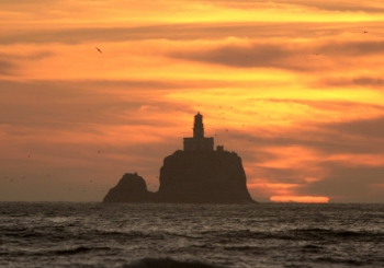 Lighthousew
