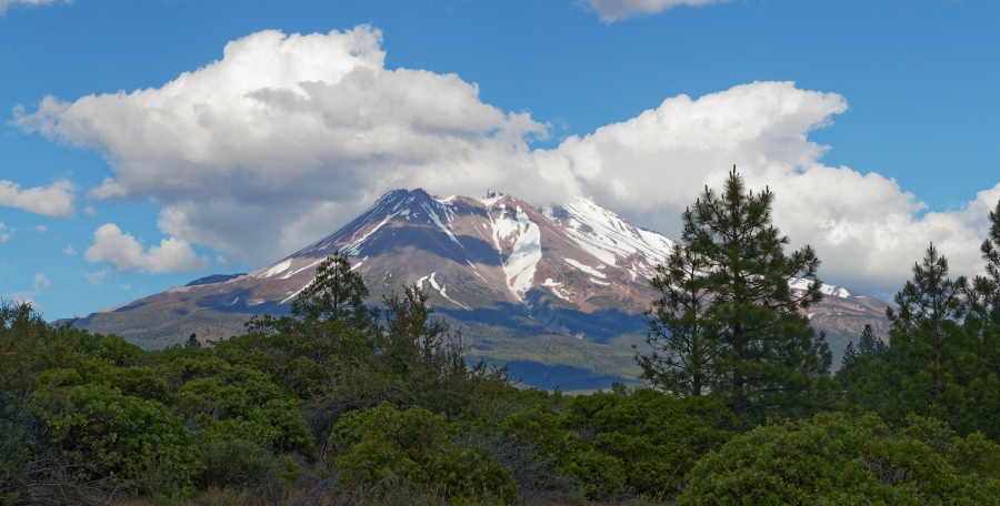 MtShasta