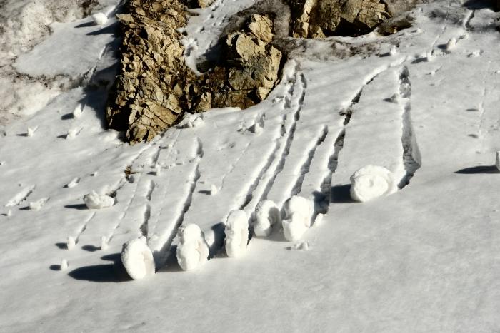 SnowRoller
