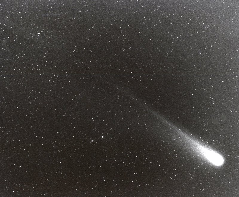 HalleysComet