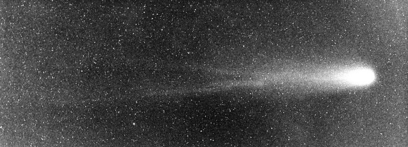 HalleysComet