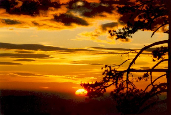 Sunrise