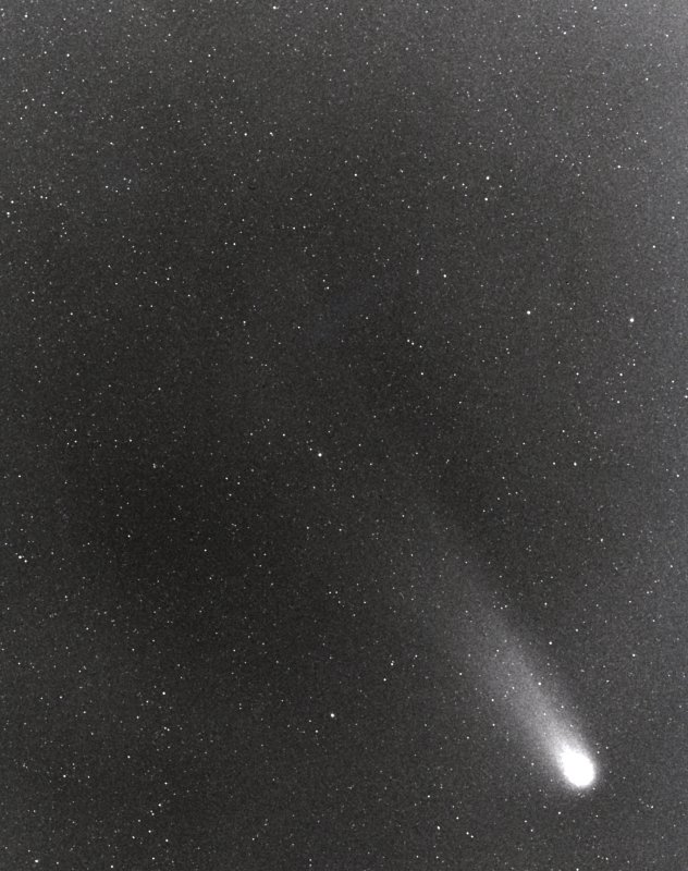 HalleysComet