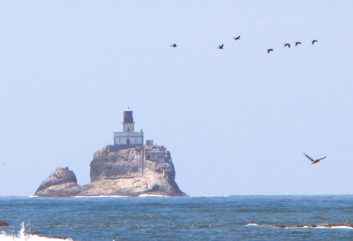 Lighthouse