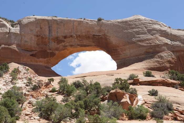 WilsonArch