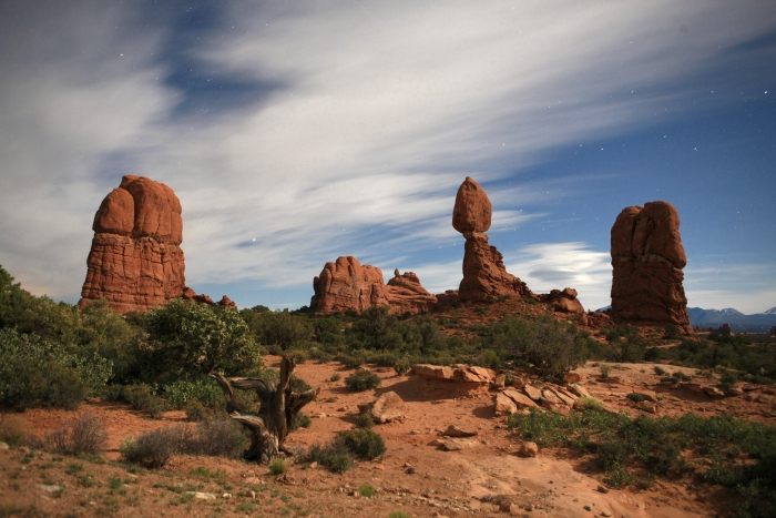 Arches