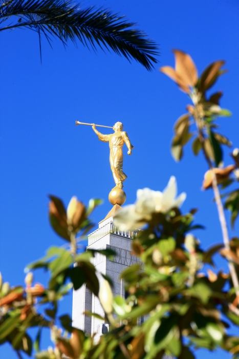 Redlands