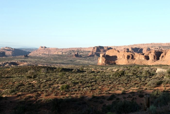 Arches