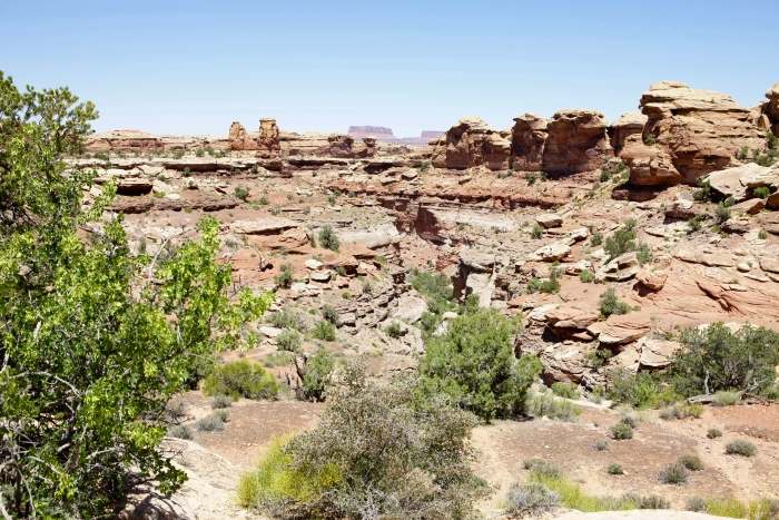 Canyonlands