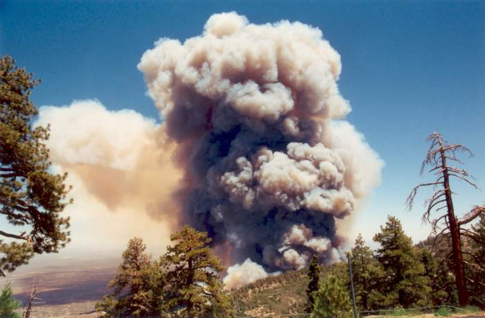 TMOFire