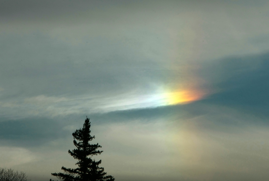 SunDog