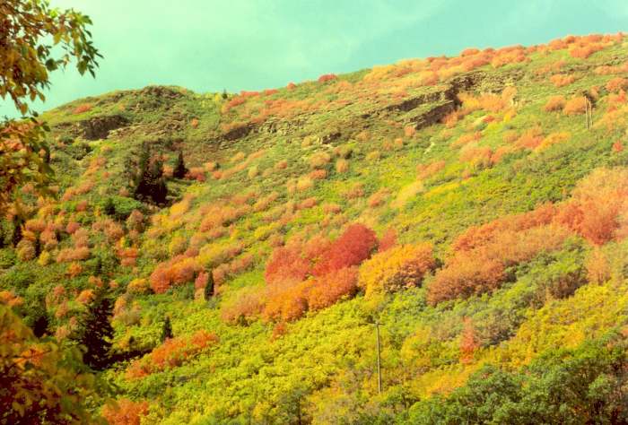 ProvoCanyon