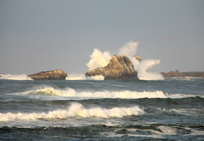 Waves