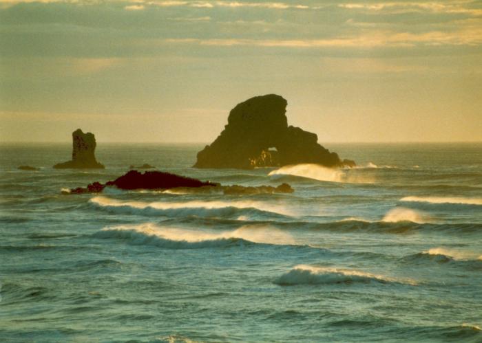 Waves
