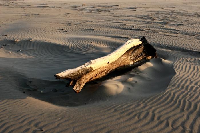 BeachLog