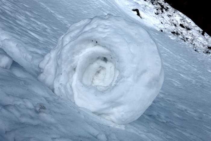 SnowRoller