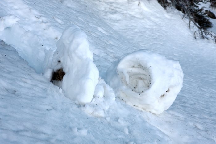 SnowRoller