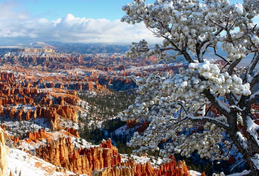 BryceCanyon