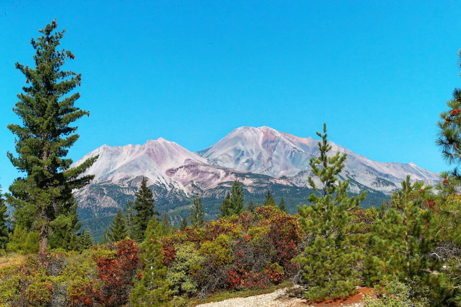 MountShasta