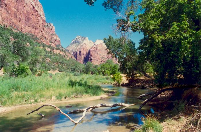 ZionNP
