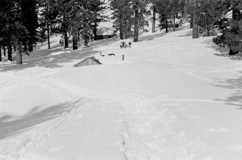 McClellanSnow